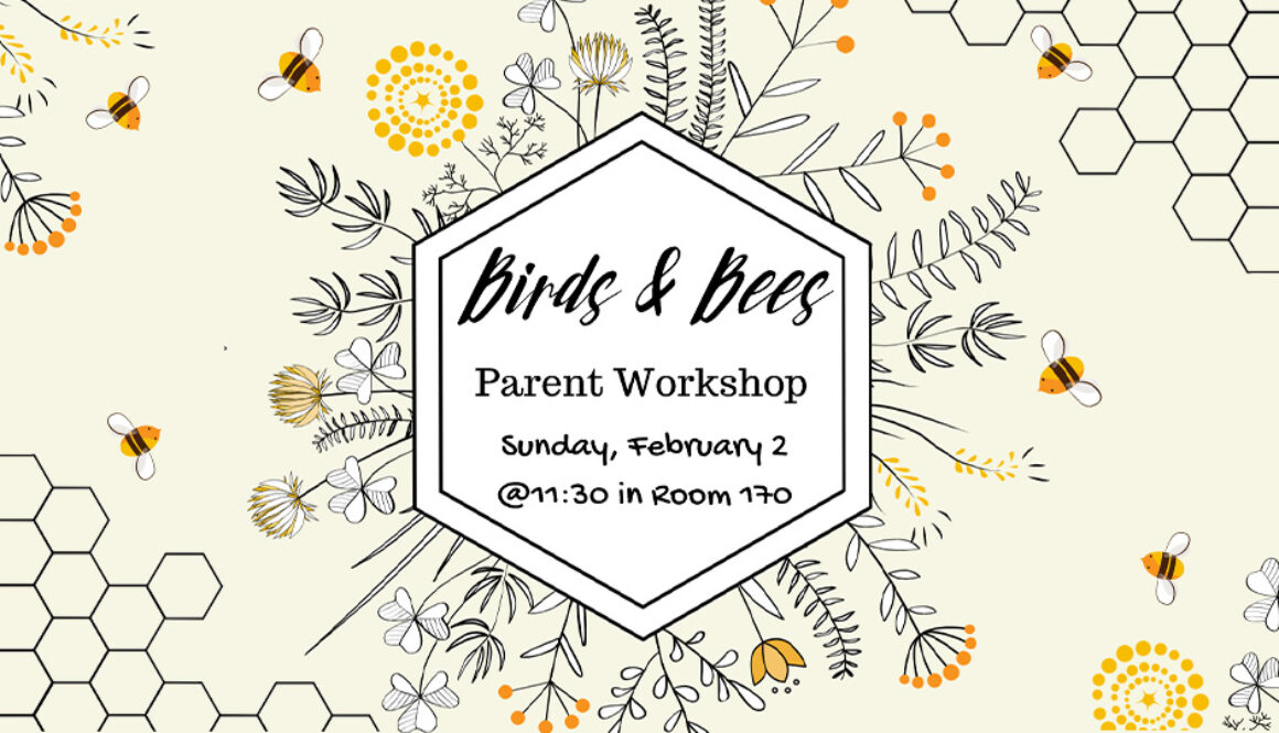 Featured_Birds&Bees
