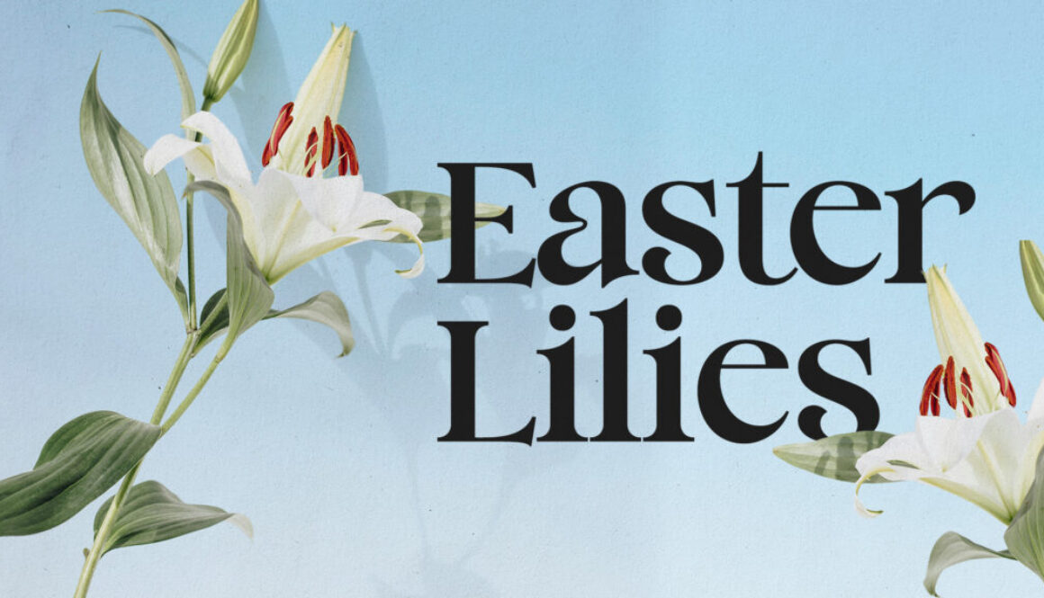 Easter Lilies