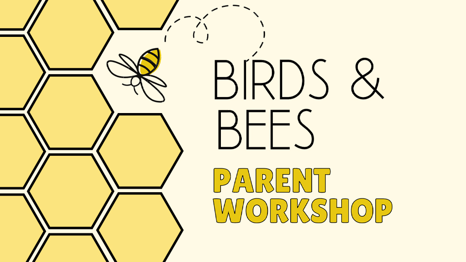 Birds and Bees_Featured